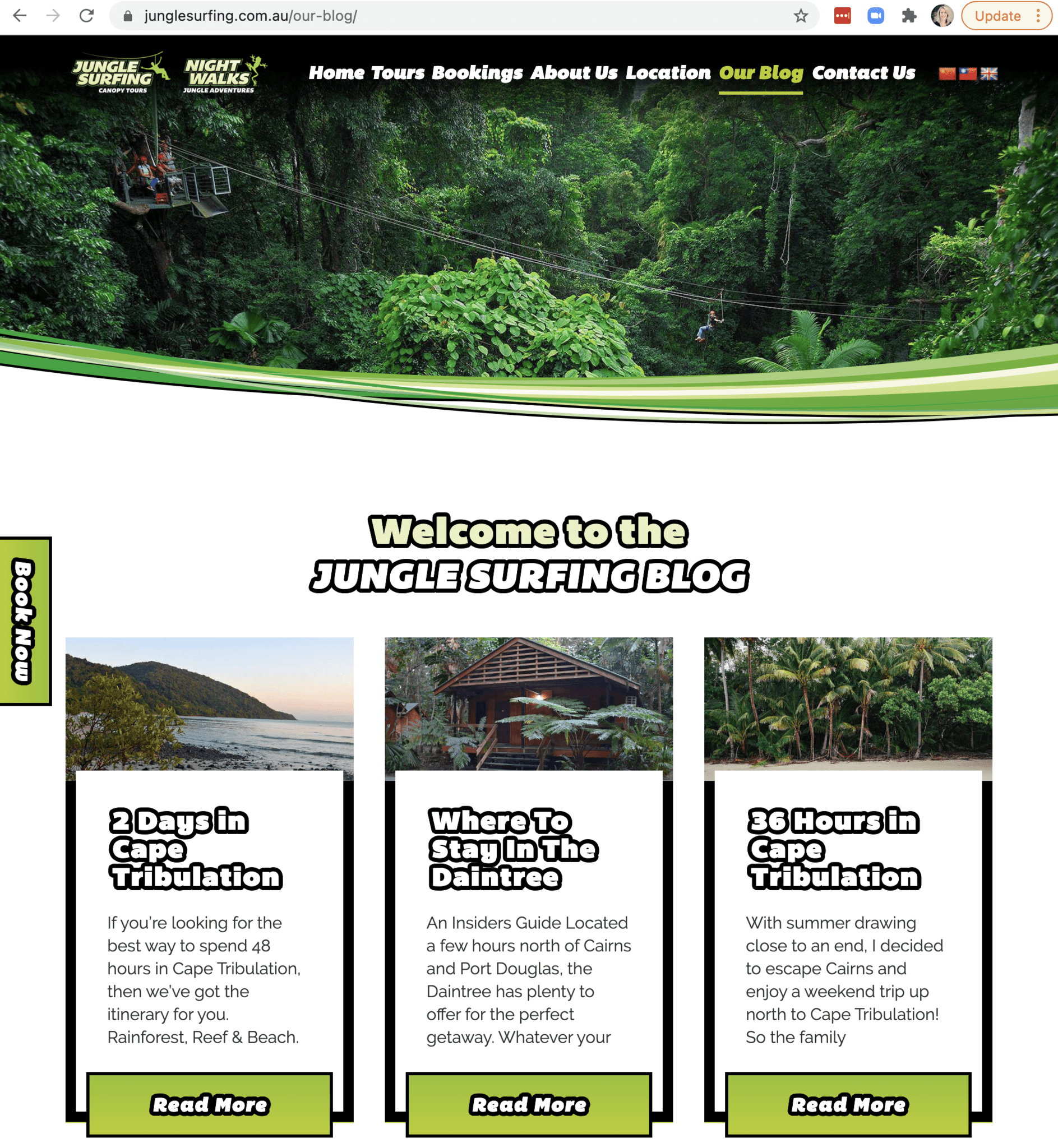 Jungle Surfing Canopy Tours and Jungle Adventures Night Walks